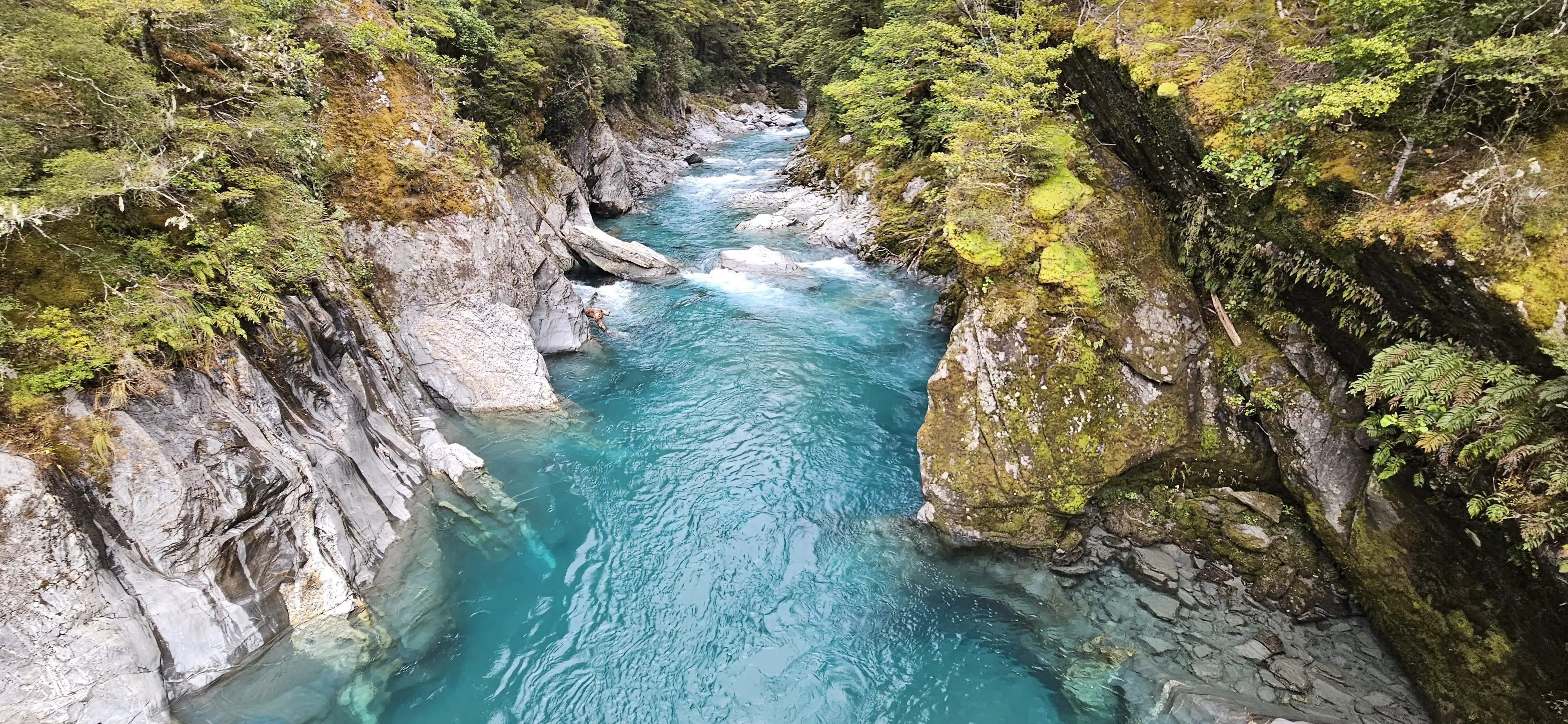 Gorge landscape in New Zealand